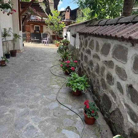 гаджо Gadjo Банско